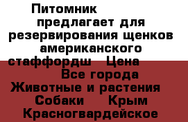 Питомник KURAT GRAD предлагает для резервирования щенков американского стаффордш › Цена ­ 25 000 - Все города Животные и растения » Собаки   . Крым,Красногвардейское